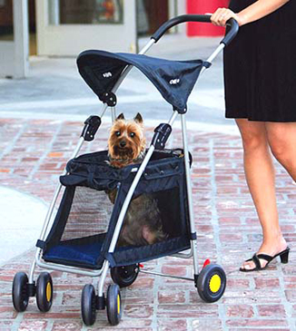 outward hound stroller